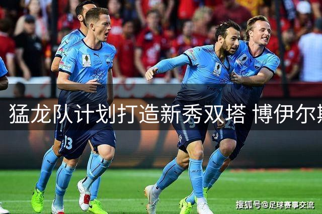 猛龙队计划打造新秀双塔 博伊尔斯+格雷夫斯或成替补奇兵